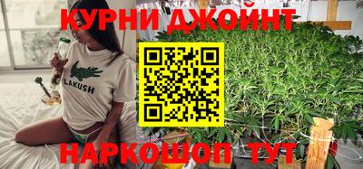 PSILOCYBIN Кингисепп