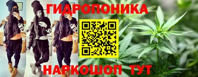 PSILOCYBIN Кингисепп