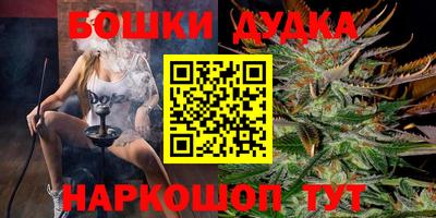 PSILOCYBIN Кингисепп