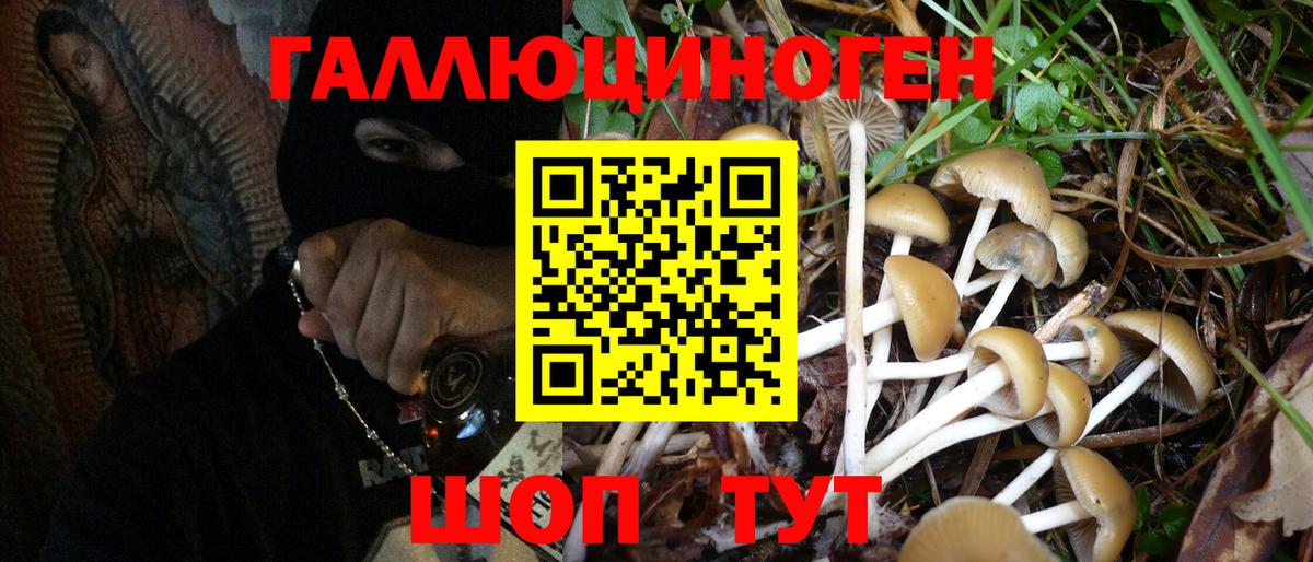 Галлюциногенные грибы Magic Shrooms Югорск