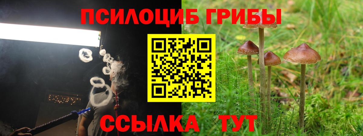 Псилоцибиновые грибы ЛСД  Вход с VPN  Югорск  Псилоцибиновые грибы Psilocybine cubensis 